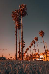 Long Beach boardwalk